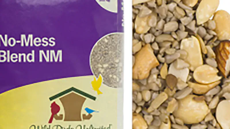 Bird Food