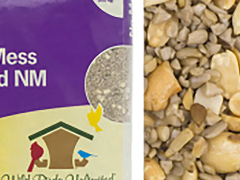 Bird Food