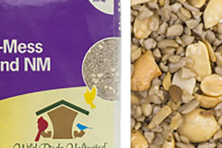Bird Food