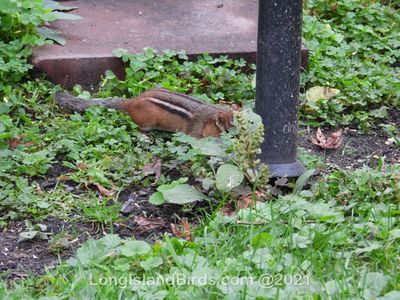 dscn2151.jpg