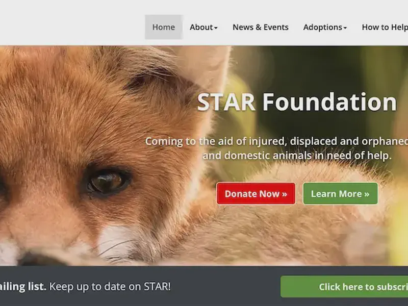 Star Foundation