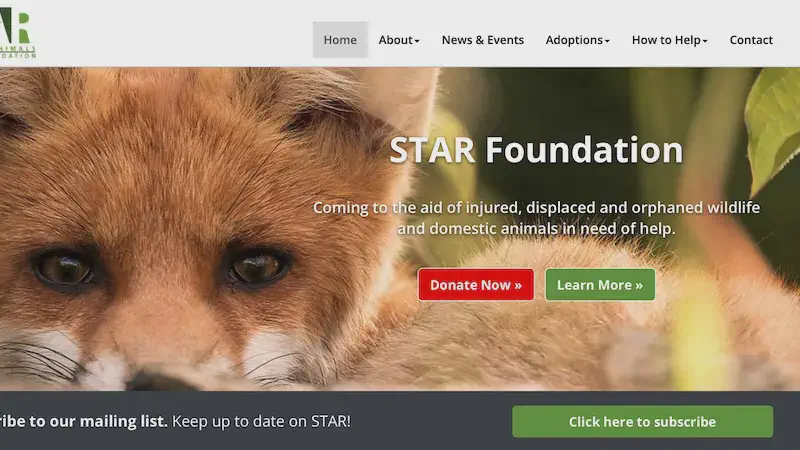 Star Foundation